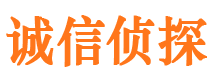 宁城市侦探调查公司